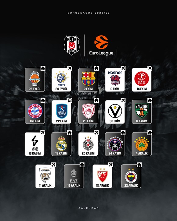 beşiktaş erkek basketbol takımı